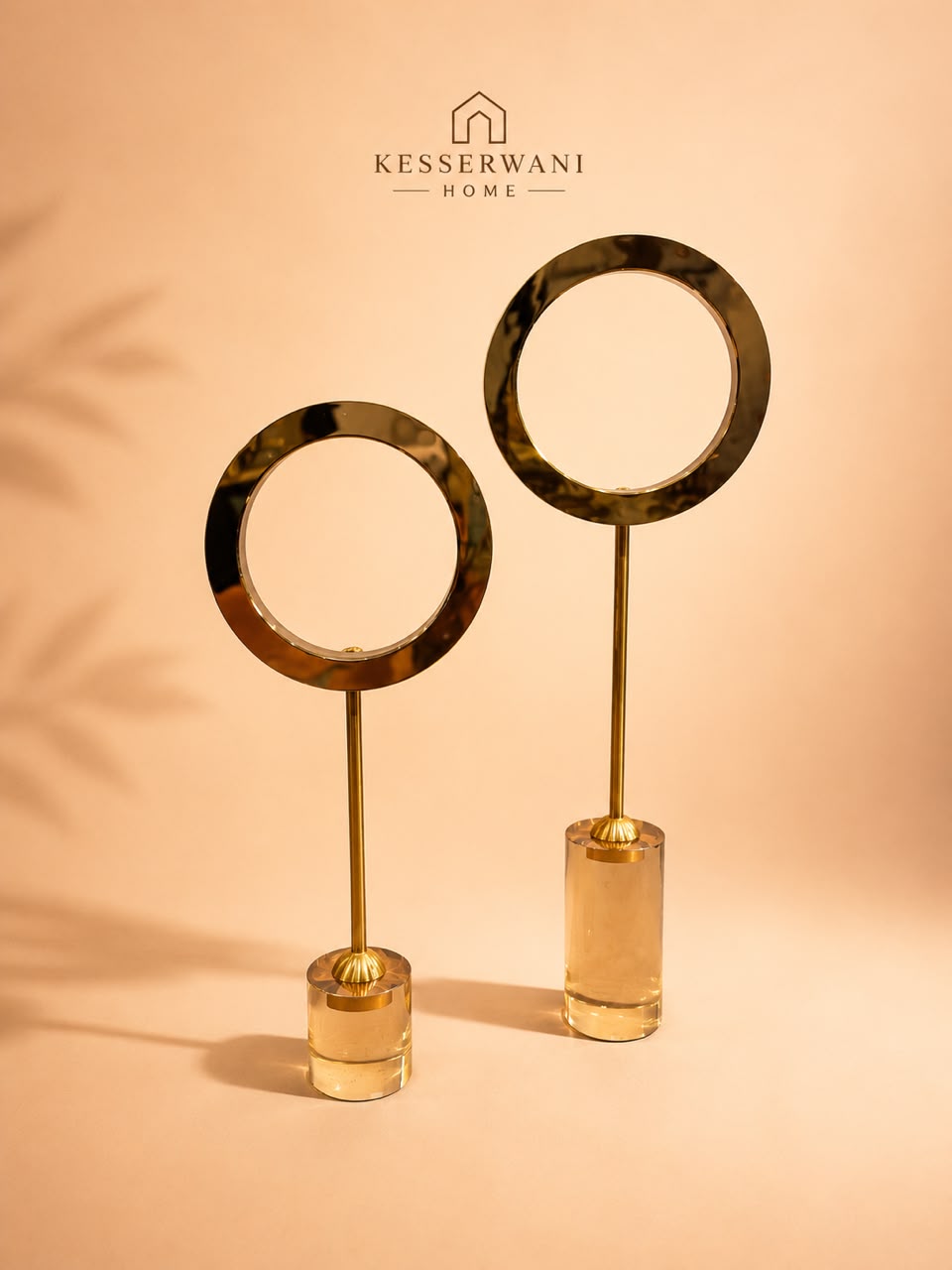Modern Ring Sculpture Set 2pcs