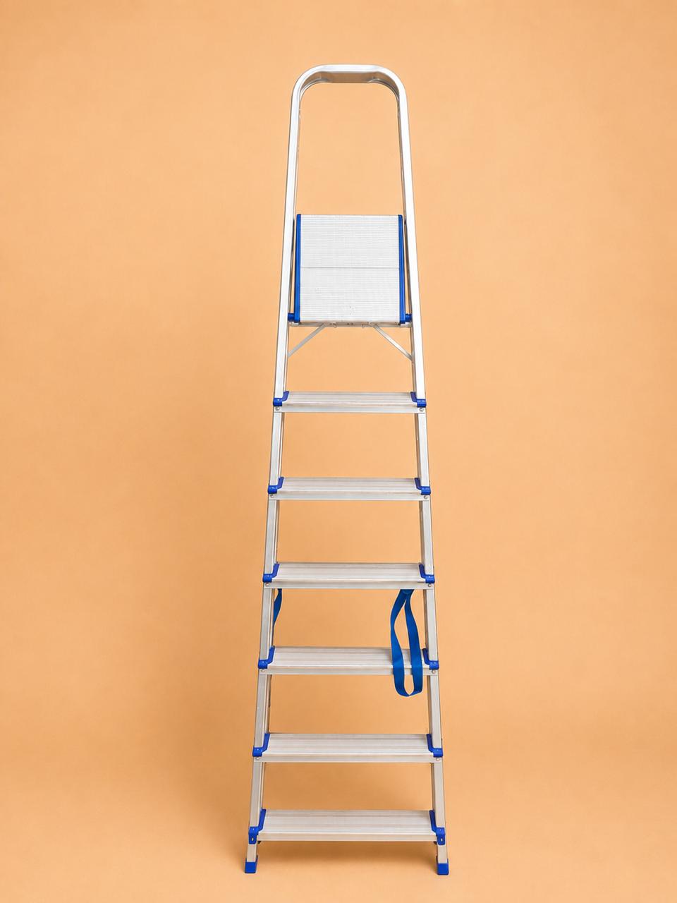 Aluminum Folding Step Ladder