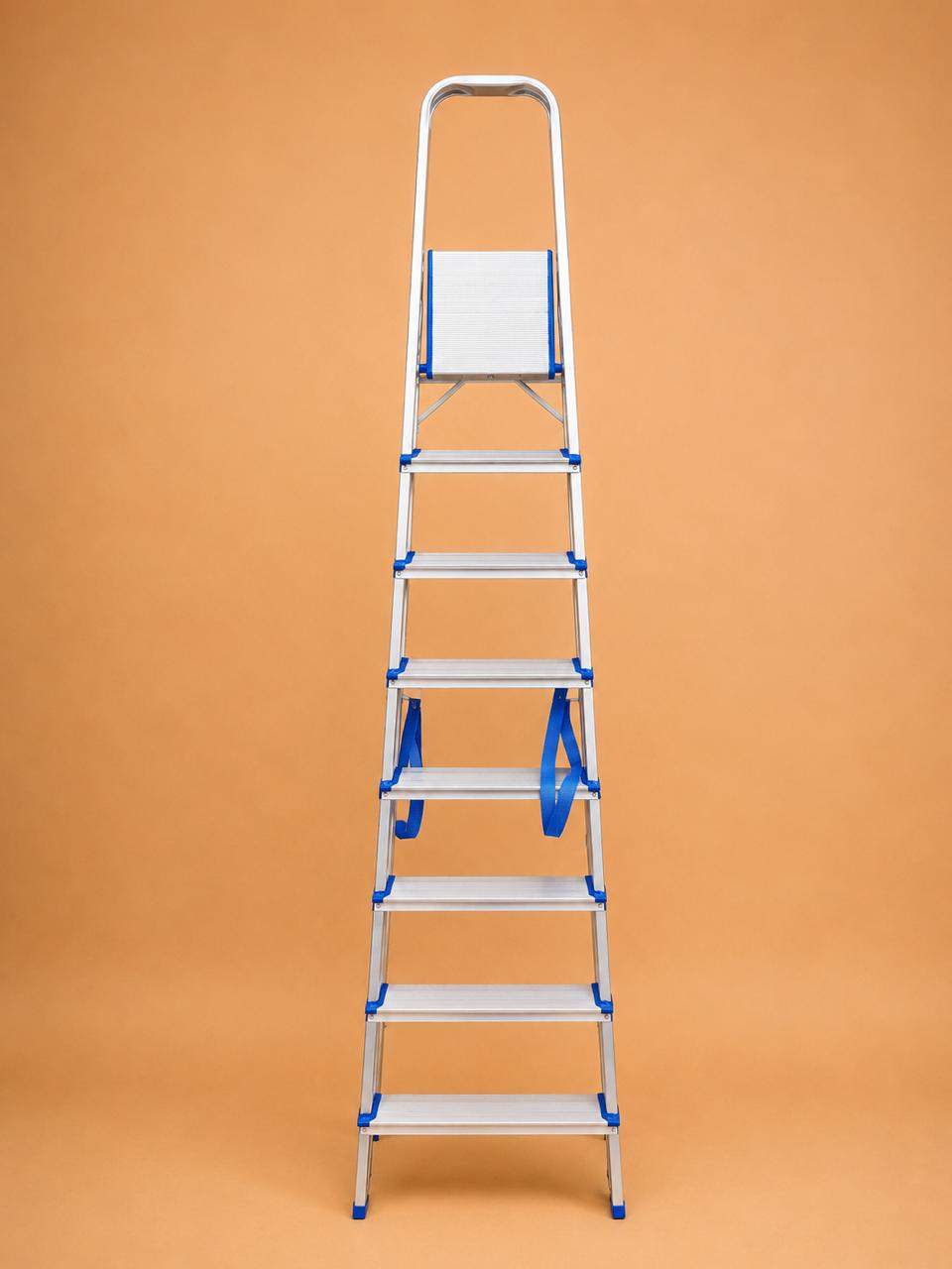 Aluminum Folding Step Ladder